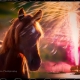 horse and fireworks